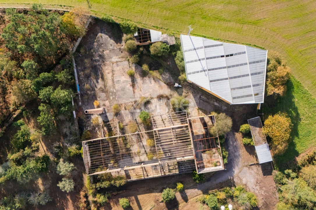 Terreno Comércio / Armazém para Venda em Mazarefes e Vila Fria Foto 5