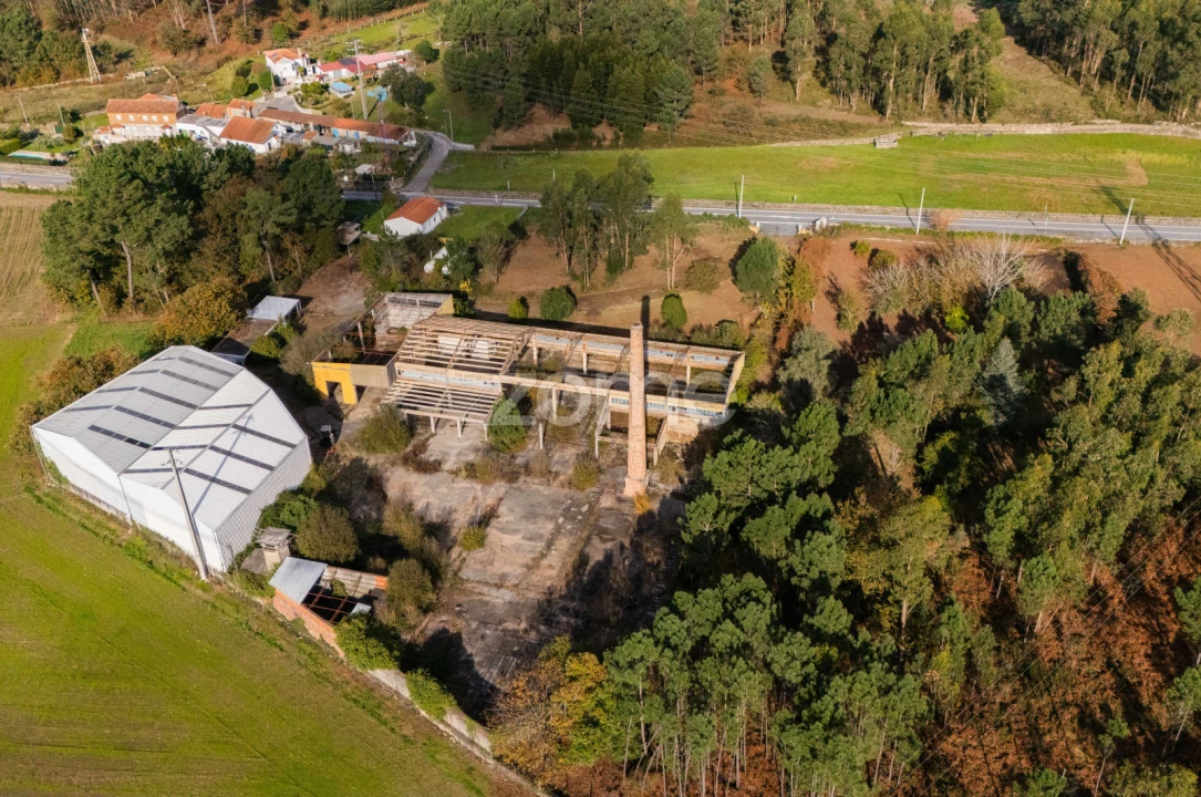 Terreno Comércio / Armazém para Venda em Mazarefes e Vila Fria Foto 8