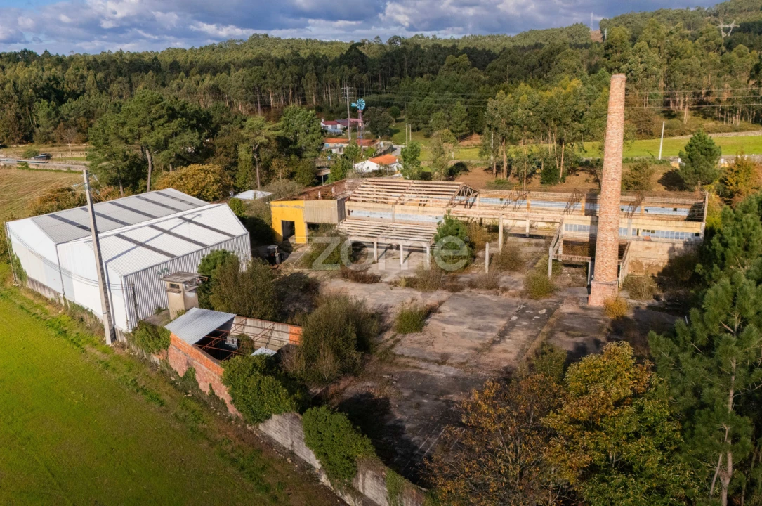 Terreno Comércio / Armazém para Venda em Mazarefes e Vila Fria Foto 9