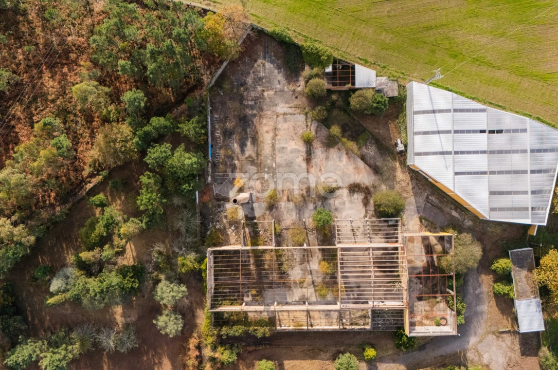 Terreno Comércio / Armazém para Venda em Mazarefes e Vila Fria Foto 14