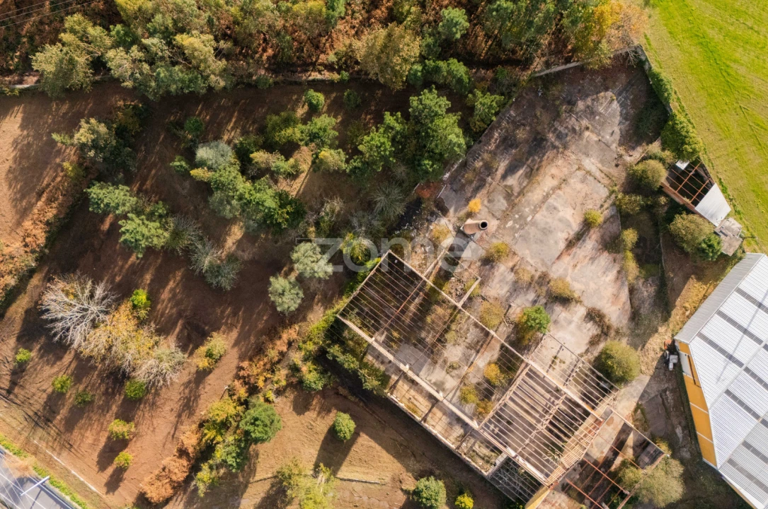 Terreno Comércio / Armazém para Venda em Mazarefes e Vila Fria Foto 17