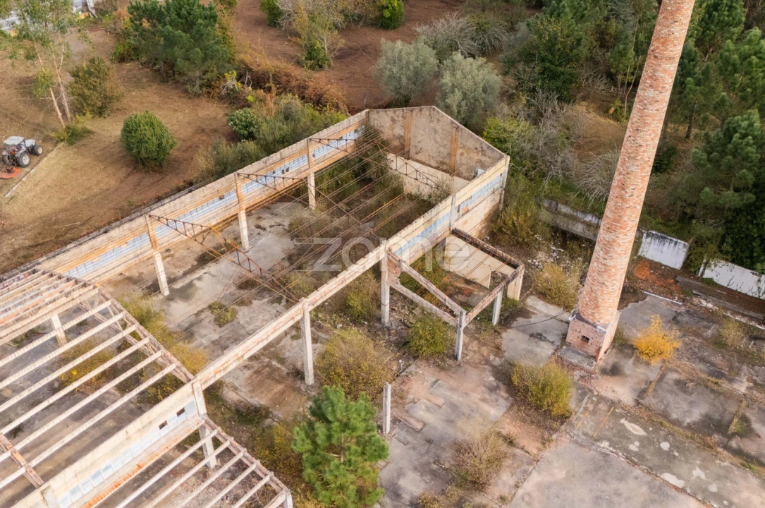 Terreno Comércio / Armazém para Venda em Mazarefes e Vila Fria Foto 20