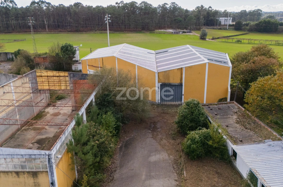 Terreno Comércio / Armazém para Venda em Mazarefes e Vila Fria Foto 25
