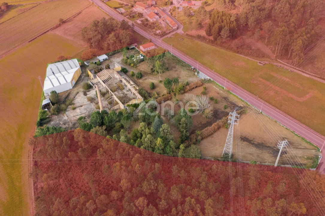 Terreno Comércio / Armazém para Venda em Mazarefes e Vila Fria Foto 27