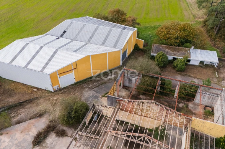 Terreno Comércio / Armazém para Venda em Mazarefes e Vila Fria Foto 23