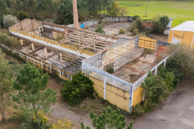 Terreno Comércio / Armazém para Venda em Mazarefes e Vila Fria Foto 26