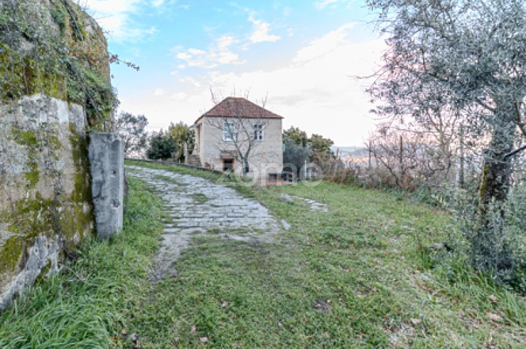 Quinta T5 para Venda em Cinfães Foto 18