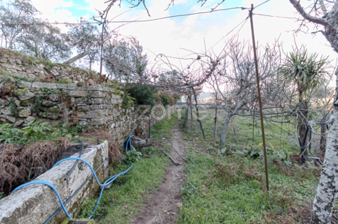 Quinta T5 para Venda em Cinfães Foto 1