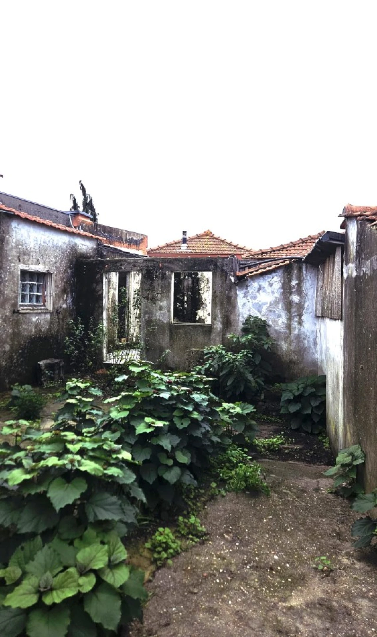 Moradia T3 para Venda em Guilhabreu Foto 3