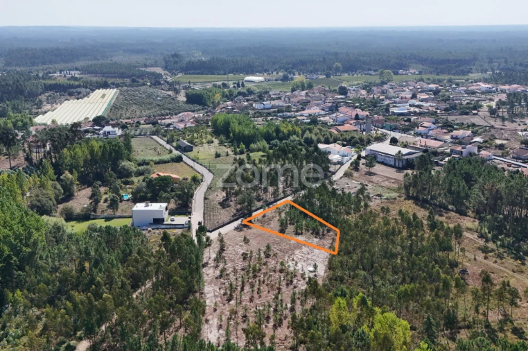 Terreno para Venda em Cantanhede e Pocariça Foto 15