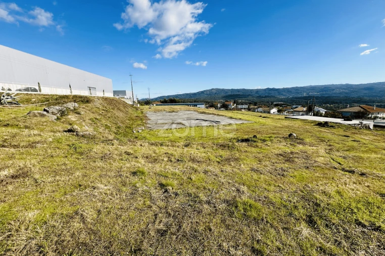 Terreno para Venda em Oliveira de Frades, Souto de Lafões e Sejães Foto 6