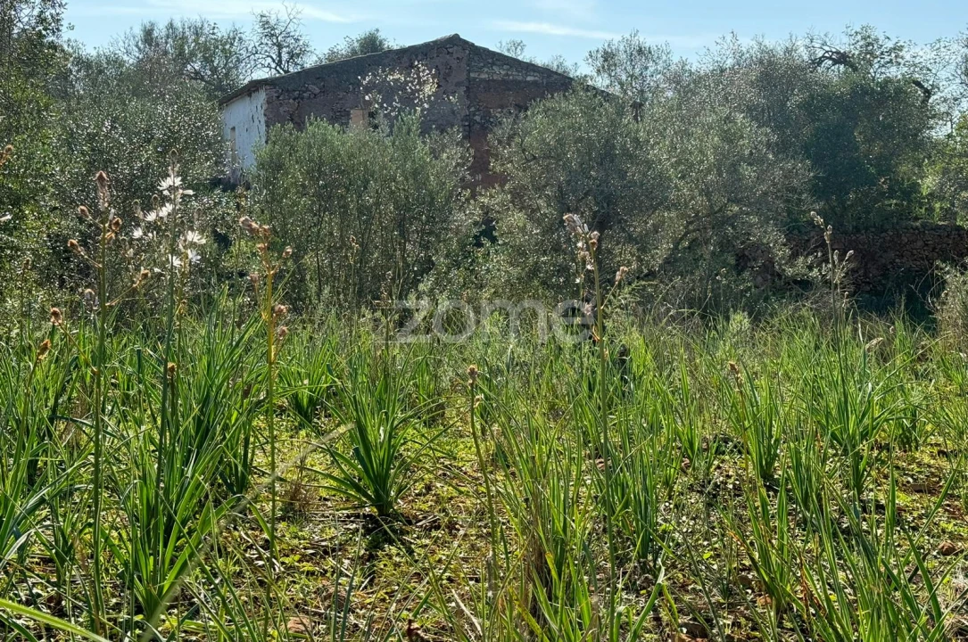 Moradia T2 para Venda em São Bartolomeu de Messines Foto 6