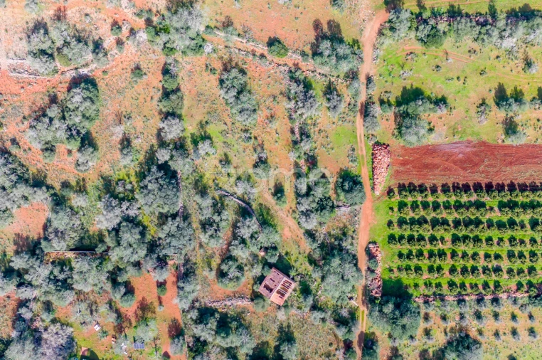 Moradia T2 para Venda em São Bartolomeu de Messines Foto 2