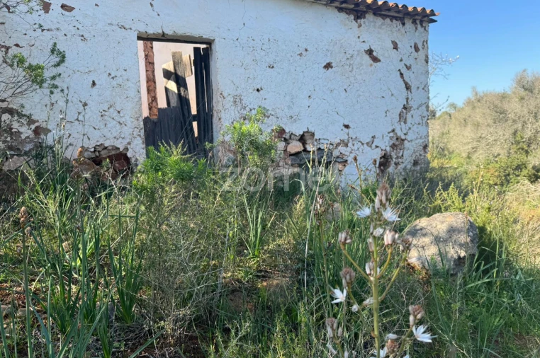 Moradia T2 para Venda em São Bartolomeu de Messines Foto 11