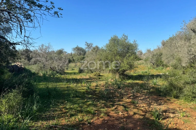 Moradia T2 para Venda em São Bartolomeu de Messines Foto 9