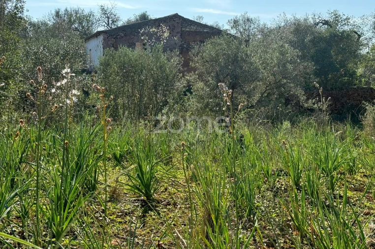 Moradia T2 para Venda em São Bartolomeu de Messines Foto 6