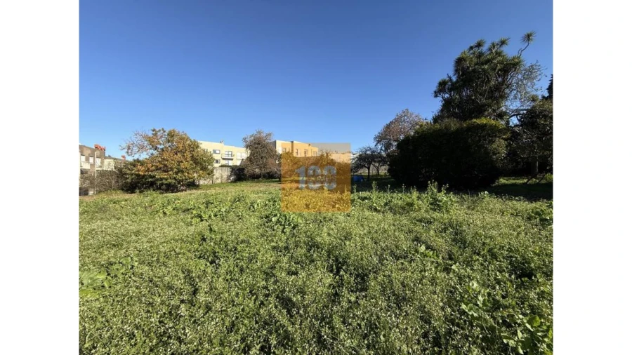 Quinta para Venda em Grijó e Sermonde Foto 6