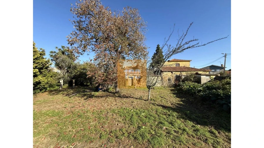 Quinta para Venda em Grijó e Sermonde Foto 8