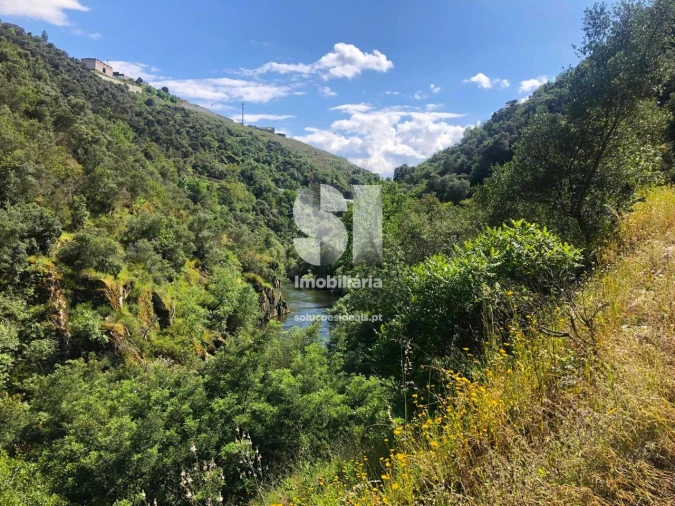 Quinta para Venda em Provesende, Gouvães Douro, São Cristóvão Douro Foto 16