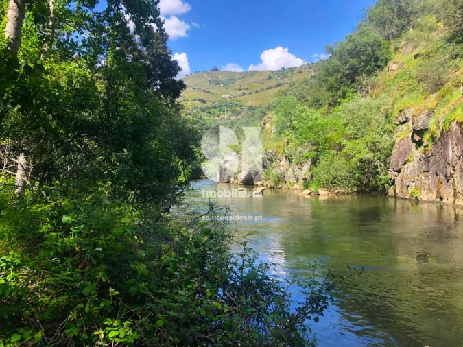 Quinta para Venda em Provesende, Gouvães Douro, São Cristóvão Douro Foto 19
