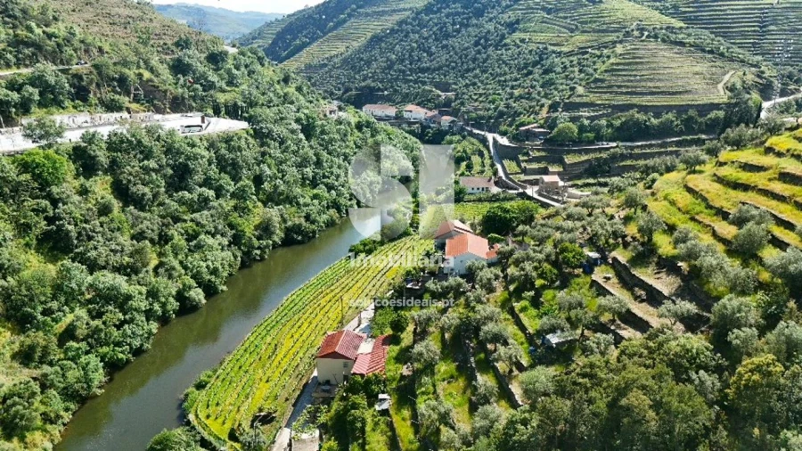 Quinta para Venda em Provesende, Gouvães Douro, São Cristóvão Douro Foto 20