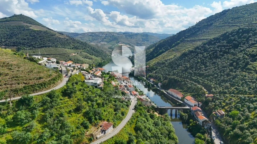Quinta para Venda em Provesende, Gouvães Douro, São Cristóvão Douro Foto 21