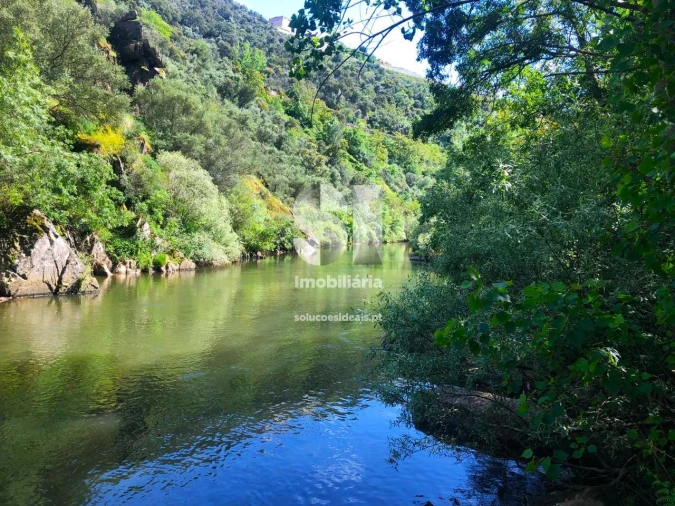 Quinta para Venda em Provesende, Gouvães Douro, São Cristóvão Douro Foto 18