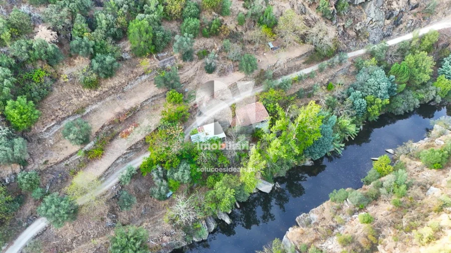 Quinta para Venda em Provesende, Gouvães Douro, São Cristóvão Douro Foto 3