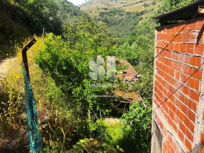 Quinta para Venda em Provesende, Gouvães Douro, São Cristóvão Douro Foto 11