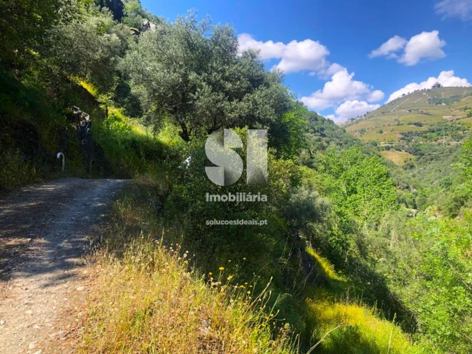 Quinta para Venda em Provesende, Gouvães Douro, São Cristóvão Douro Foto 7