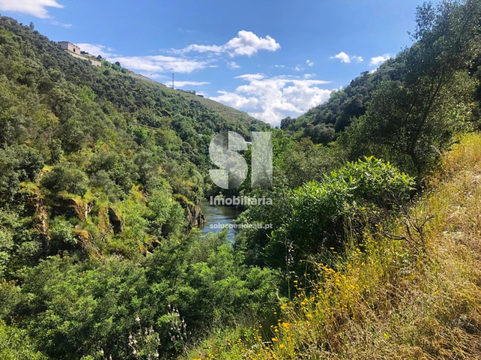 Quinta para Venda em Provesende, Gouvães Douro, São Cristóvão Douro Foto 16
