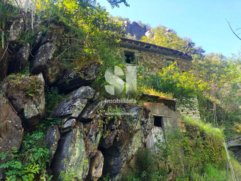 Quinta para Venda em Provesende, Gouvães Douro, São Cristóvão Douro Foto 9