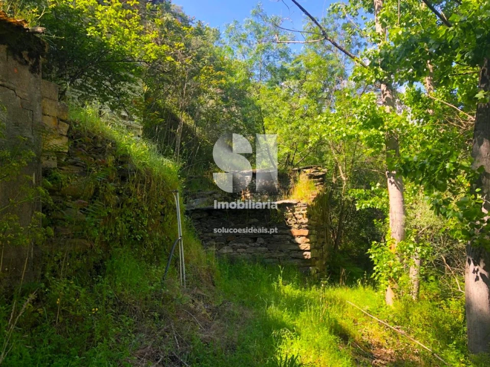 Quinta para Venda em Provesende, Gouvães Douro, São Cristóvão Douro Foto 15