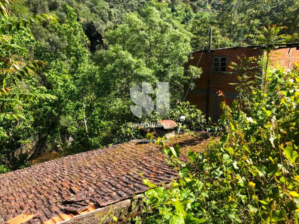 Quinta para Venda em Provesende, Gouvães Douro, São Cristóvão Douro Foto 10