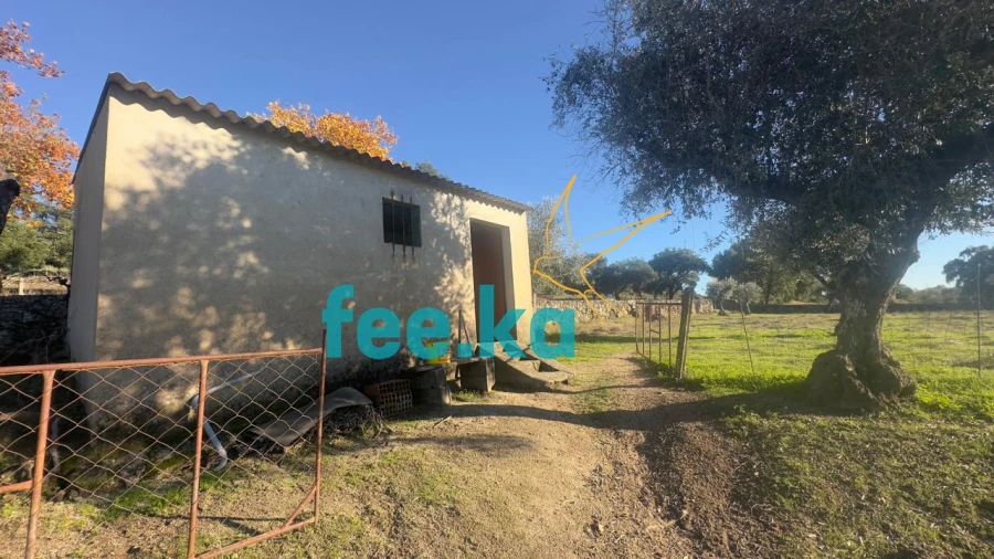 Quinta para Venda em Escalos de Baixo e Mata Foto 3