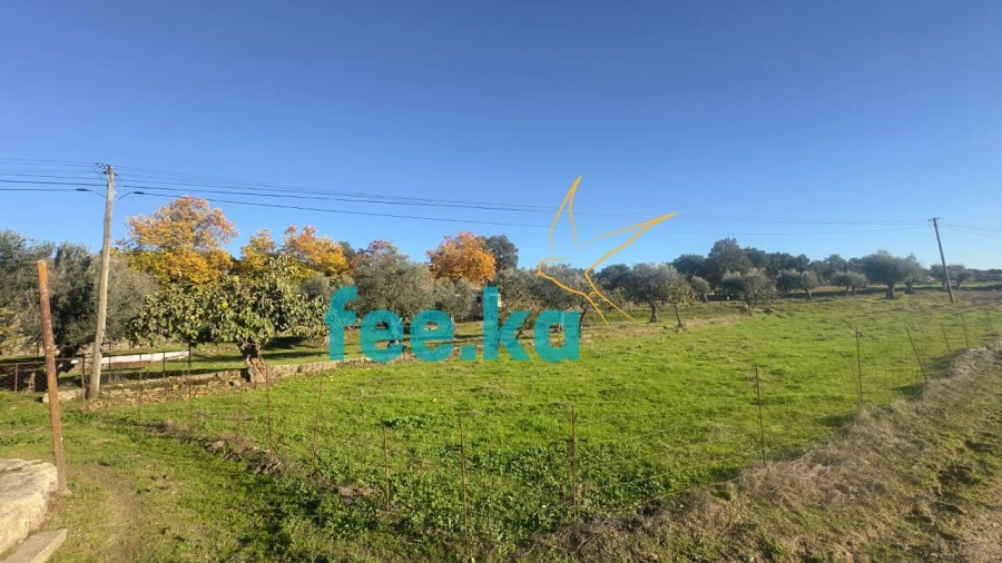 Quinta para Venda em Escalos de Baixo e Mata Foto 16