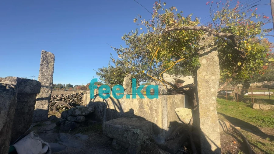 Quinta para Venda em Escalos de Baixo e Mata Foto 17