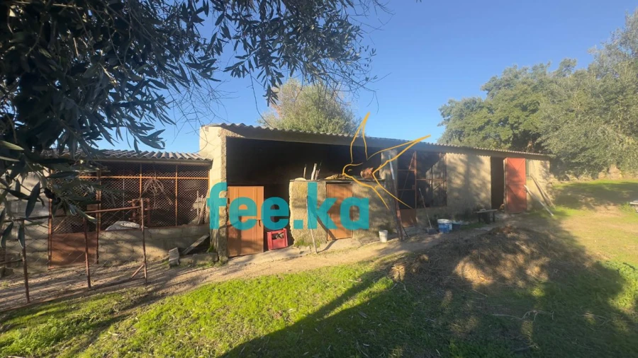 Quinta para Venda em Escalos de Baixo e Mata Foto 20