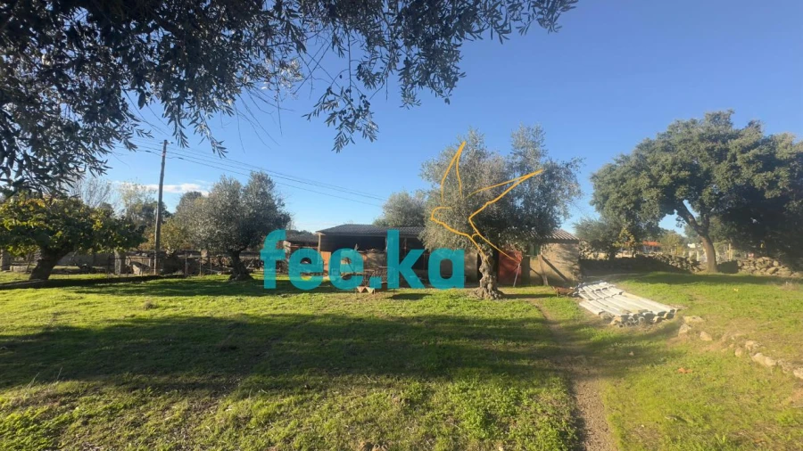 Quinta para Venda em Escalos de Baixo e Mata Foto 22