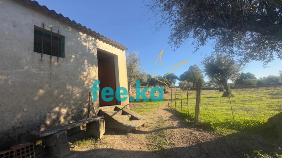 Quinta para Venda em Escalos de Baixo e Mata Foto 24