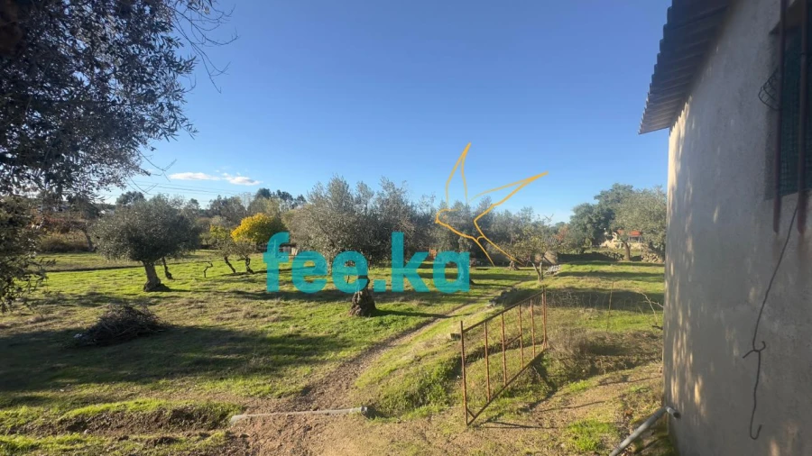 Quinta para Venda em Escalos de Baixo e Mata Foto 25