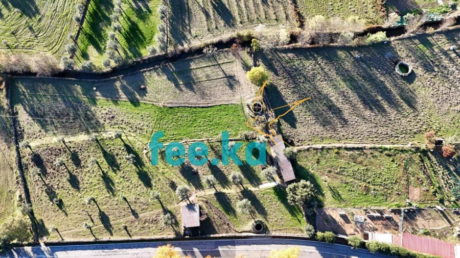 Quinta para Venda em Escalos de Baixo e Mata Foto 27