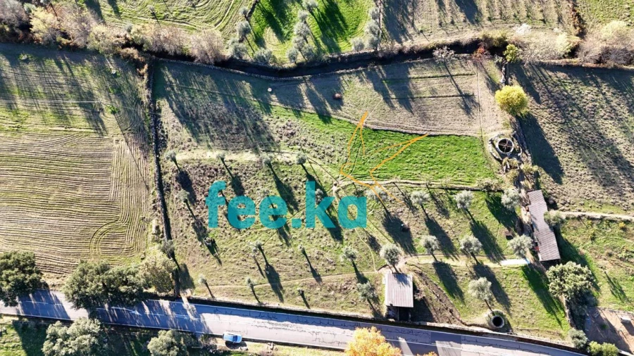 Quinta para Venda em Escalos de Baixo e Mata Foto 28