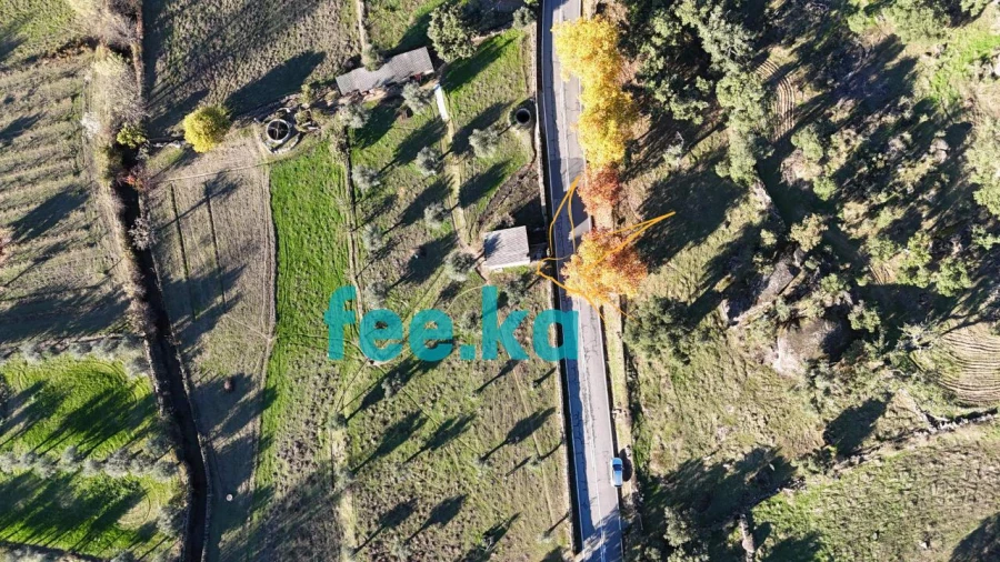 Quinta para Venda em Escalos de Baixo e Mata Foto 30