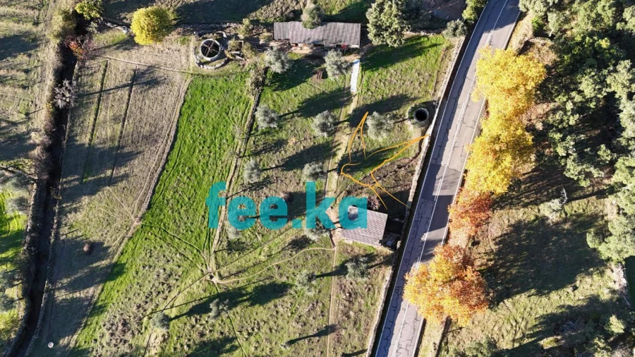 Quinta para Venda em Escalos de Baixo e Mata Foto 31