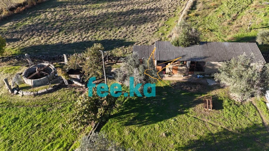 Quinta para Venda em Escalos de Baixo e Mata Foto 33