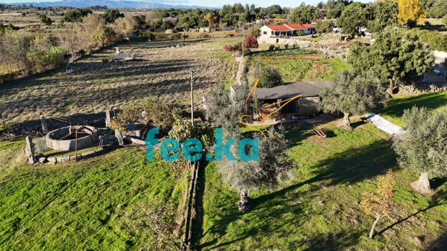 Quinta para Venda em Escalos de Baixo e Mata Foto 35