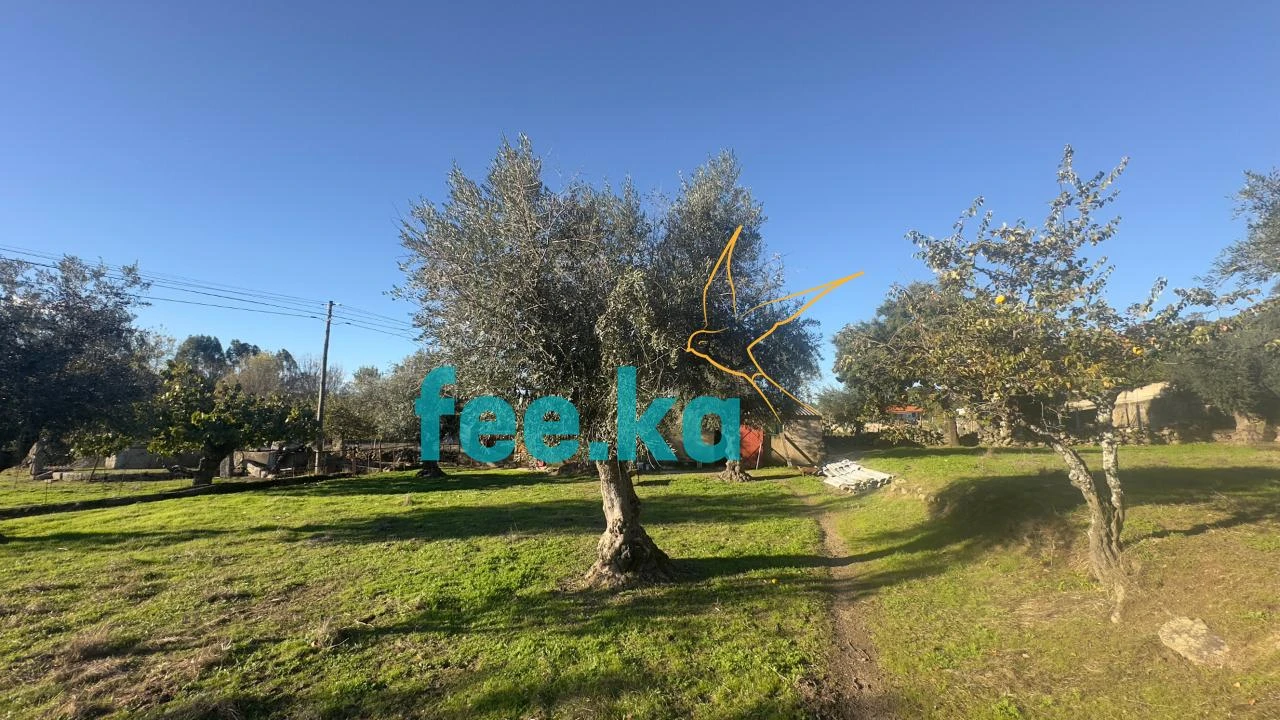 Quinta para Venda em Escalos de Baixo e Mata Foto 4