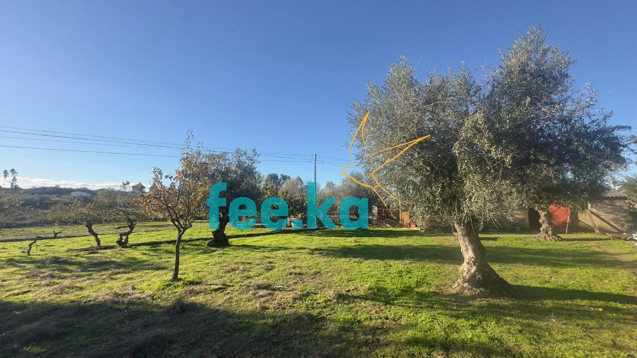 Quinta para Venda em Escalos de Baixo e Mata Foto 5