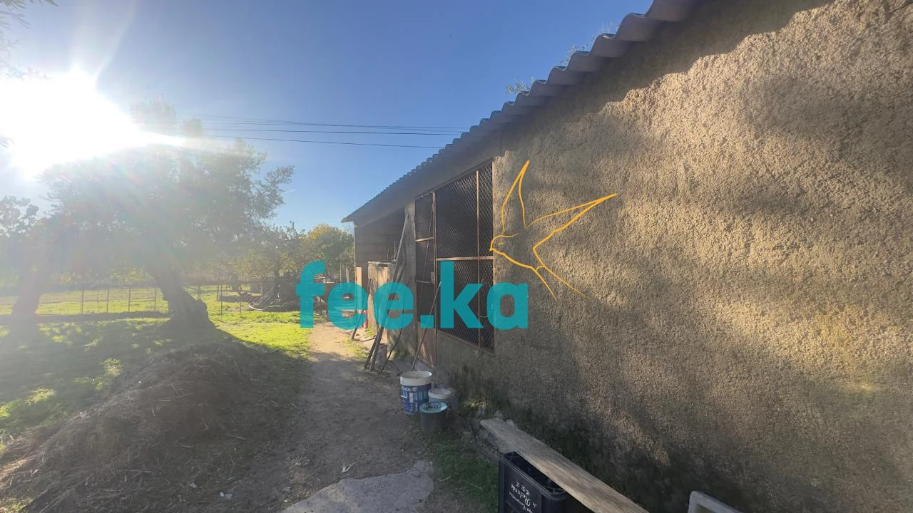 Quinta para Venda em Escalos de Baixo e Mata Foto 8